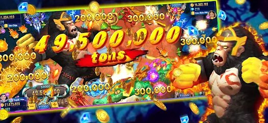 nov bet